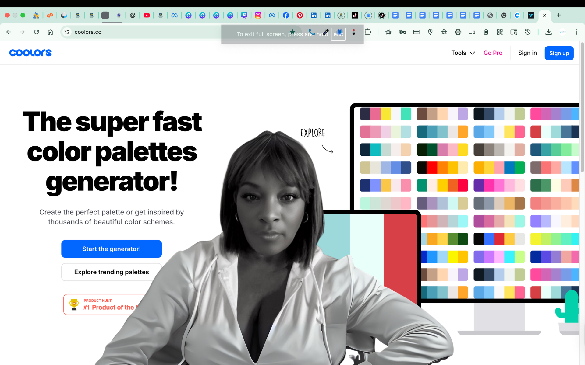Color Palettes Made Easy with Coolors